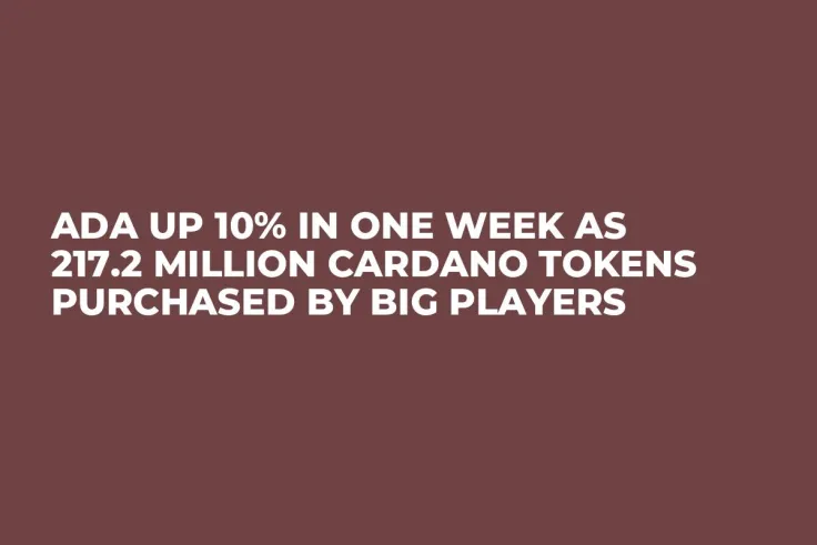 ADA Up 10% in One Week as 217.2 Million Cardano Tokens Purchased by Big Players