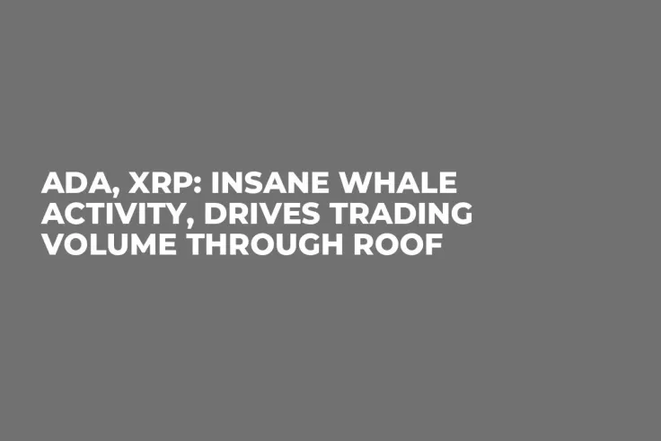 ADA, XRP: Insane Whale Activity, Drives Trading Volume Through Roof