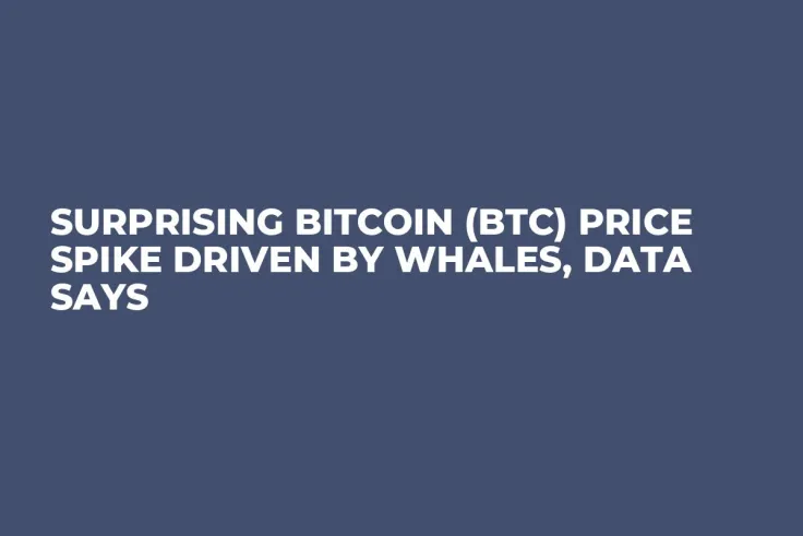 Surprising Bitcoin (BTC) Price Spike Driven by Whales, Data Says