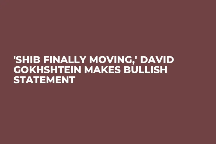 'SHIB Finally Moving,' David Gokhshtein Makes Bullish Statement