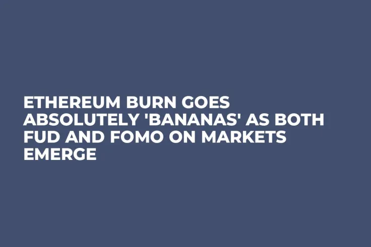 Ethereum Burn Goes Absolutely 'Bananas' as Both FUD and FOMO on Markets Emerge