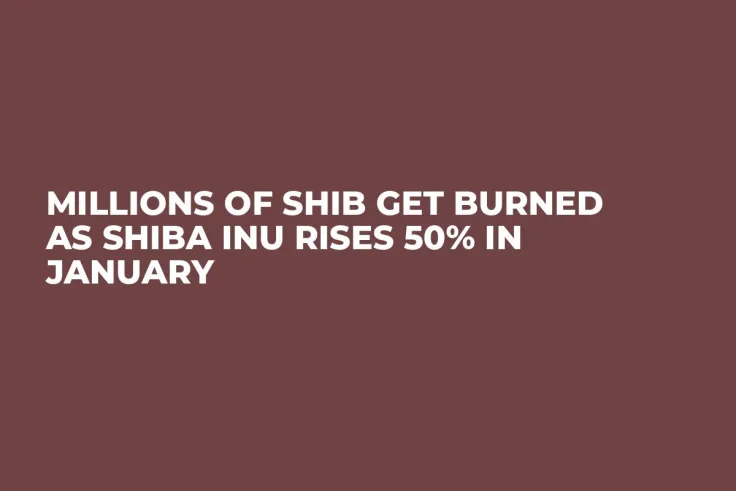 Millions of SHIB Get Burned as Shiba Inu Rises 50% in January