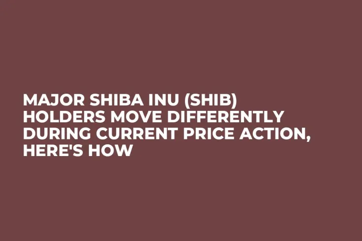 Major Shiba Inu (SHIB) Holders Move Differently During Current Price Action, Here's How