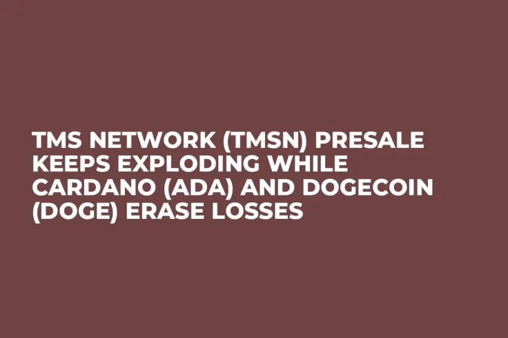 TMS Network (TMSN) Presale Keeps Exploding while Cardano (ADA) and Dogecoin (DOGE) Erase Losses