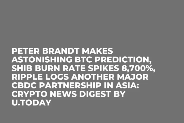 Peter Brandt Makes Astonishing BTC Prediction, SHIB Burn Rate Spikes 8,700%, Ripple Logs Another Major CBDC Partnership in Asia: Crypto News Digest by U.Today