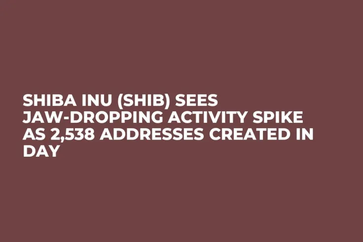 Shiba Inu (SHIB) Sees Jaw-Dropping Activity Spike as 2,538 Addresses Created in Day