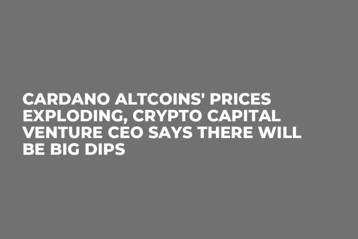 Cardano Altcoins' Prices Exploding, Crypto Capital Venture CEO Says There Will Be Big Dips