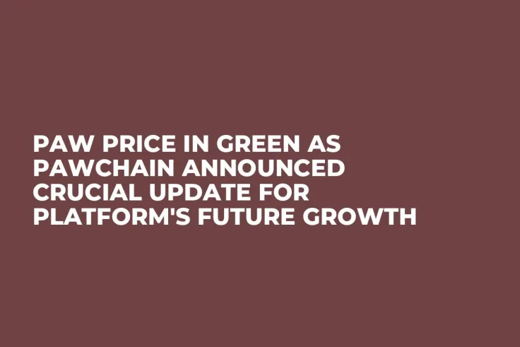 PAW Price in Green as PawChain Announced Crucial Update for Platform's Future Growth