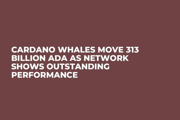 Cardano Whales Move 313 Billion ADA as Network Shows Outstanding Performance