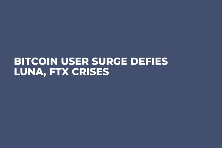 Bitcoin User Surge Defies LUNA, FTX Crises