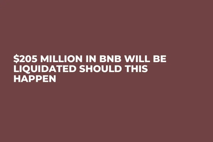 $205 Million in BNB Will Be Liquidated Should This Happen