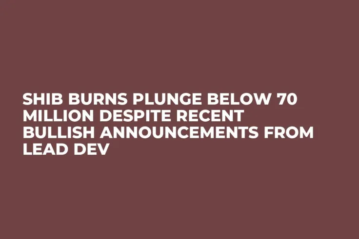 SHIB Burns Plunge Below 70 Million Despite Recent Bullish Announcements From Lead Dev