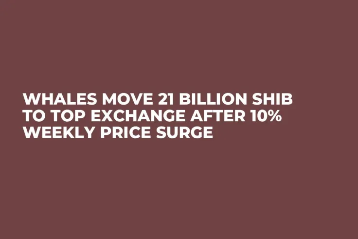 Whales Move 21 Billion SHIB to Top Exchange After 10% Weekly Price Surge