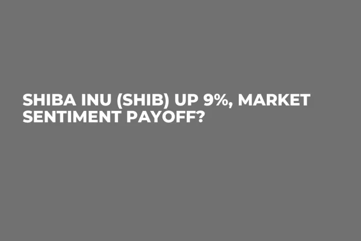 Shiba Inu (SHIB) up 9%, Market Sentiment Payoff?