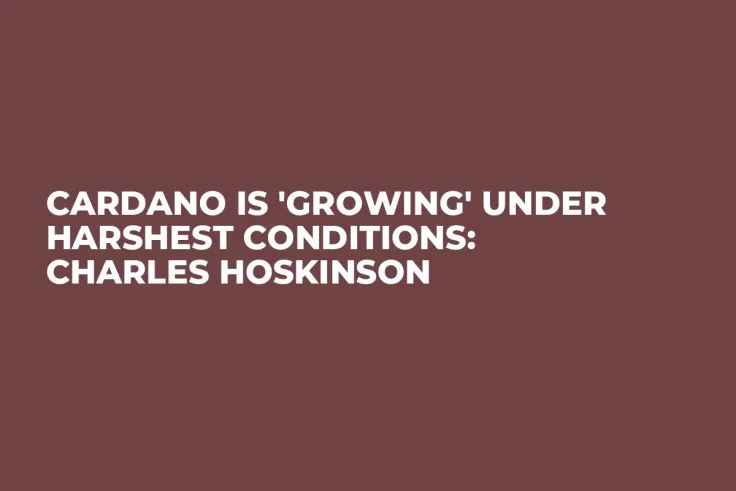 Cardano Is 'Growing' Under Harshest Conditions: Charles Hoskinson