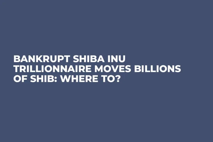 Bankrupt Shiba Inu Trillionnaire Moves Billions of SHIB: Where To?
