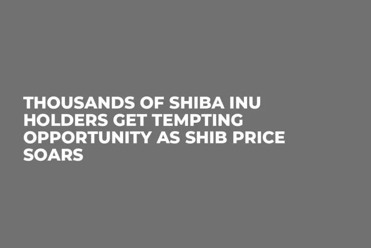 Thousands of Shiba Inu Holders Get Tempting Opportunity as SHIB Price Soars