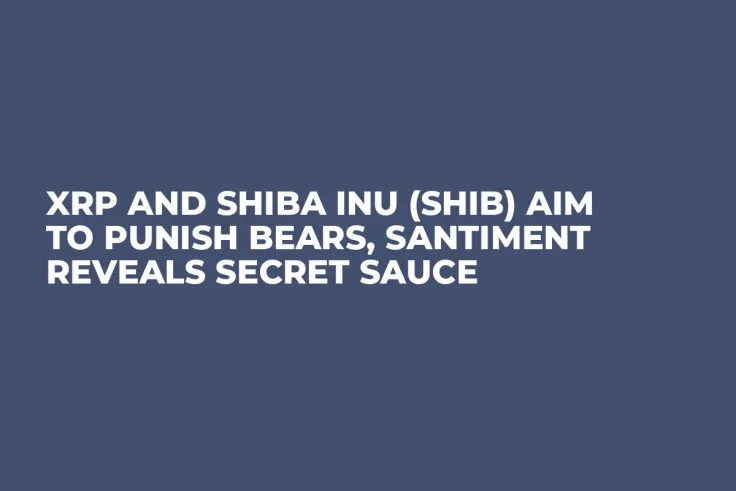 XRP and Shiba Inu (SHIB) Aim to Punish Bears, Santiment Reveals Secret Sauce