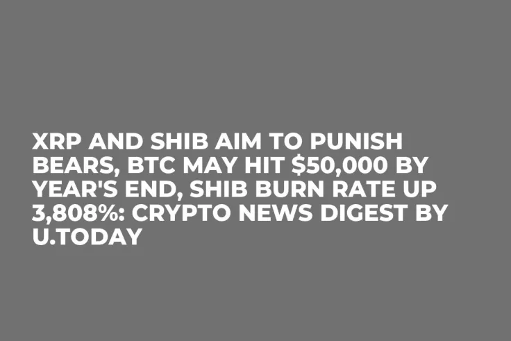 XRP and SHIB Aim to Punish Bears, BTC May Hit $50,000 By Year's End, SHIB Burn Rate up 3,808%: Crypto News Digest by U.Today