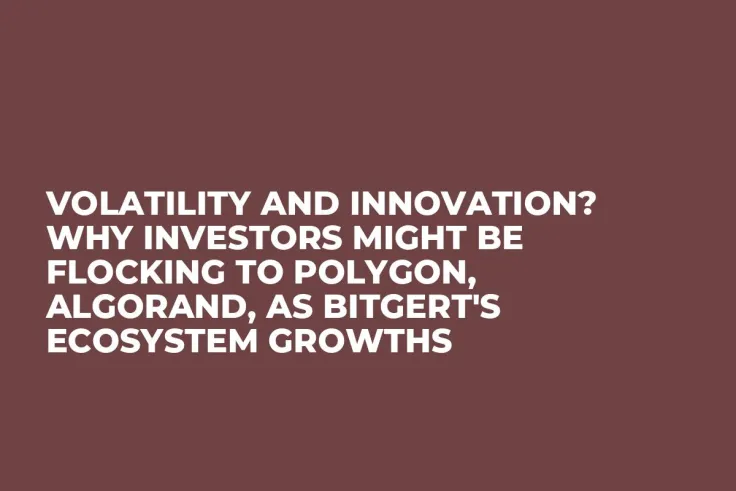 Volatility and Innovation? Why Investors Might Be Flocking to Polygon, Algorand, As Bitgert's Ecosystem Growths