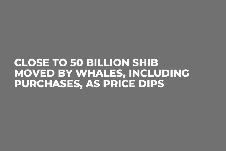 Close to 50 Billion SHIB Moved by Whales, Including Purchases, As Price Dips