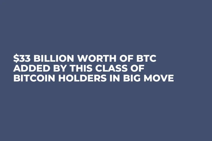$33 Billion Worth of BTC Added by This Class of Bitcoin Holders in Big Move