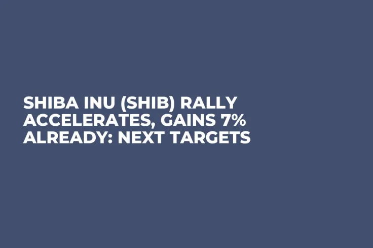 Shiba Inu (SHIB) Rally Accelerates, Gains 7% Already: Next Targets