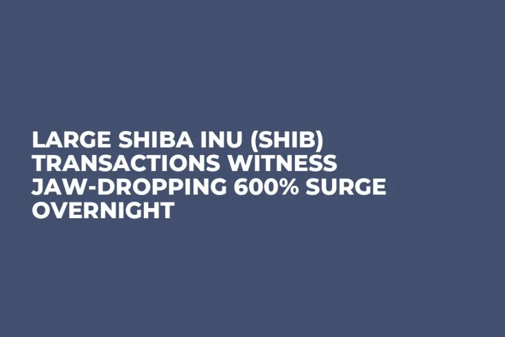 Large Shiba Inu (SHIB) Transactions Witness Jaw-Dropping 600% Surge Overnight