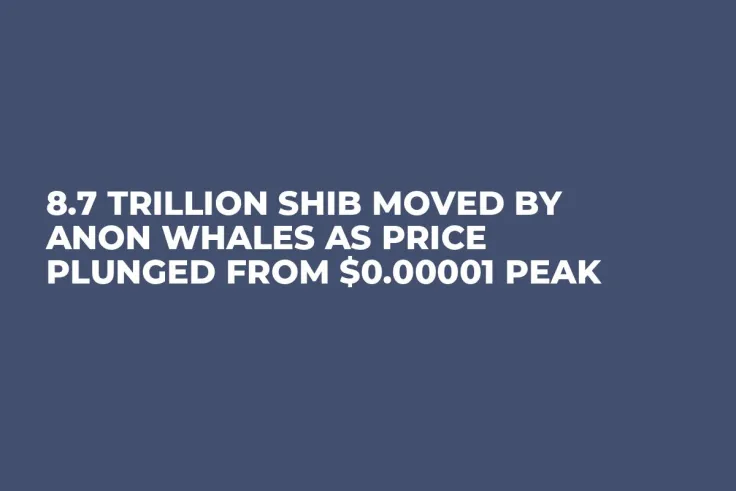 8.7 Trillion SHIB Moved by Anon Whales as Price Plunged From $0.00001 Peak