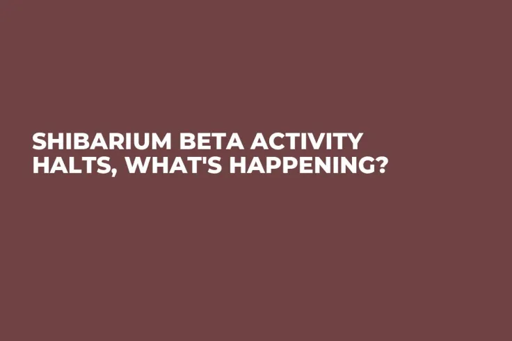 Shibarium Beta Activity Halts, What's Happening?