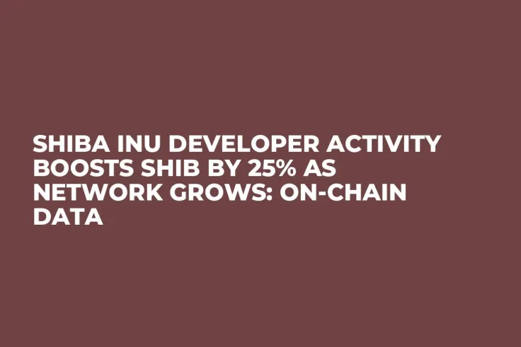 Shiba Inu Developer Activity Boosts SHIB by 25% as Network Grows: On-chain Data