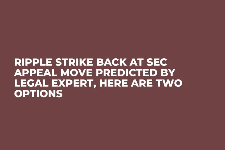 Ripple Strike Back at SEC Appeal Move Predicted by Legal Expert, Here Are Two Options