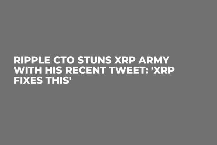 Ripple CTO Stuns XRP Army With His Recent Tweet: 'XRP Fixes This'