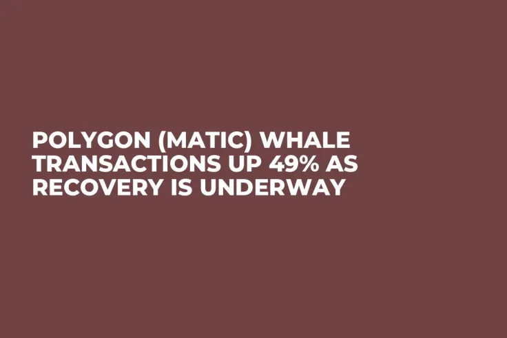 Polygon (MATIC) Whale Transactions up 49% as Recovery Is Underway