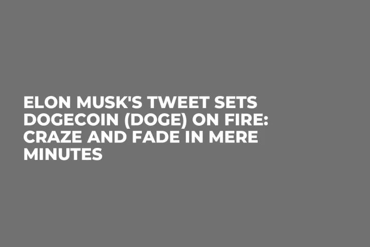 Elon Musk's Tweet Sets Dogecoin (DOGE) on Fire: Craze and Fade in Mere Minutes