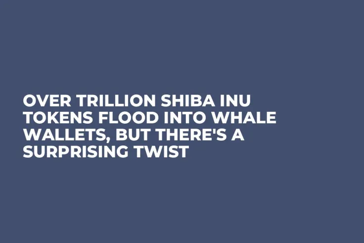 Over Trillion Shiba Inu Tokens Flood into Whale Wallets, But There's a Surprising Twist