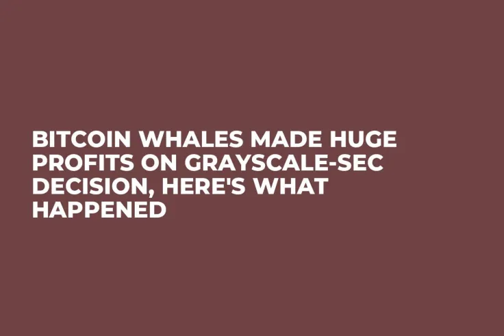 Bitcoin Whales Made Huge Profits on Grayscale-SEC Decision, Here's What Happened