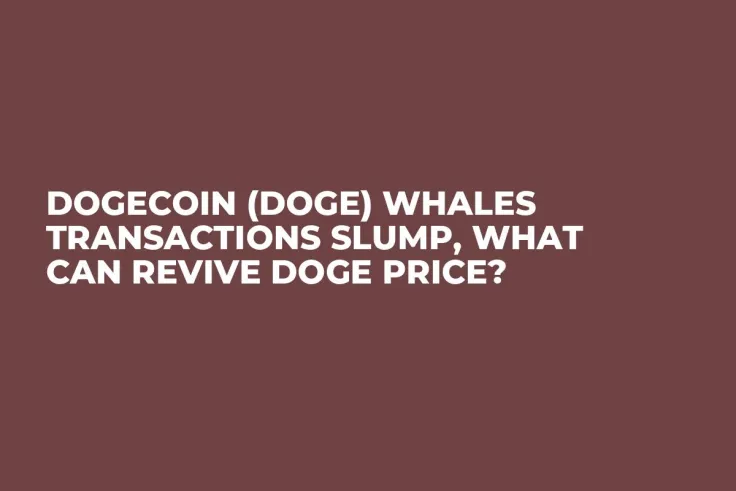 Dogecoin (DOGE) Whales Transactions Slump, What Can Revive DOGE Price?