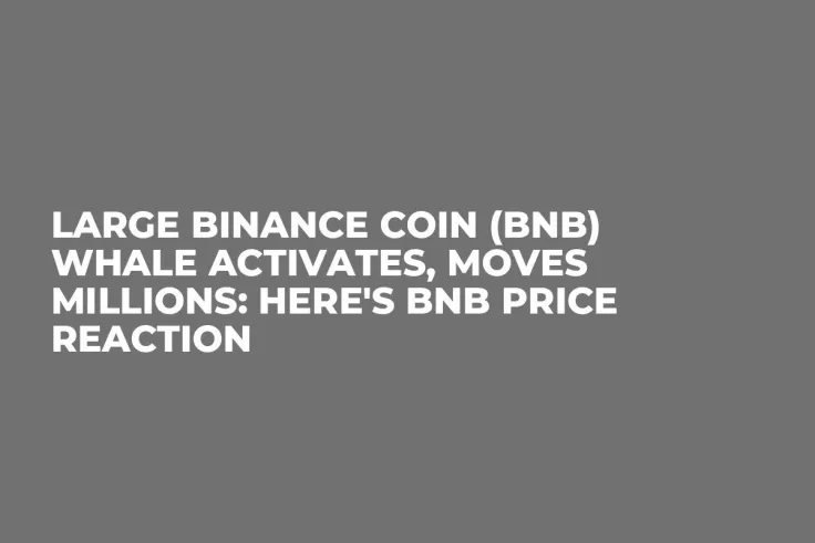 Large Binance Coin (BNB) Whale Activates, Moves Millions: Here's BNB Price Reaction