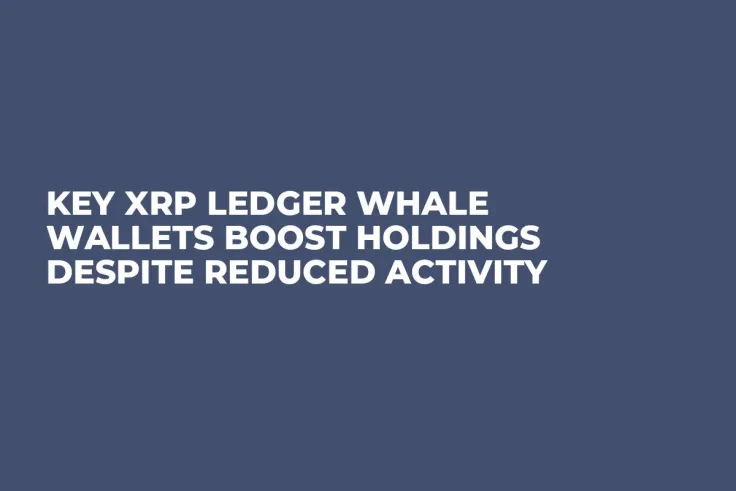 Key XRP Ledger Whale Wallets Boost Holdings Despite Reduced Activity