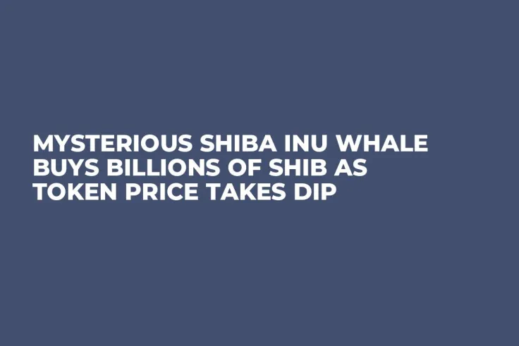 Mysterious Shiba Inu Whale Buys Billions of SHIB as Token Price Takes Dip
