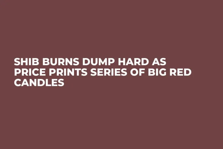 SHIB Burns Dump Hard as Price Prints Series of Big Red Candles