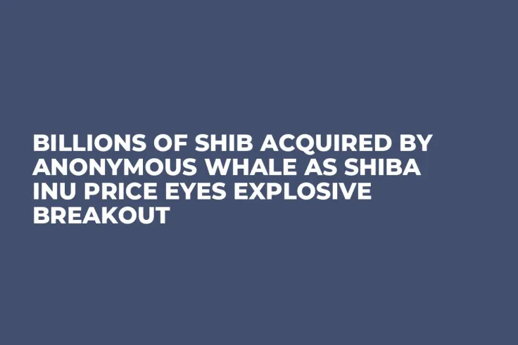 Billions of SHIB Acquired by Anonymous Whale as Shiba Inu Price Eyes Explosive Breakout