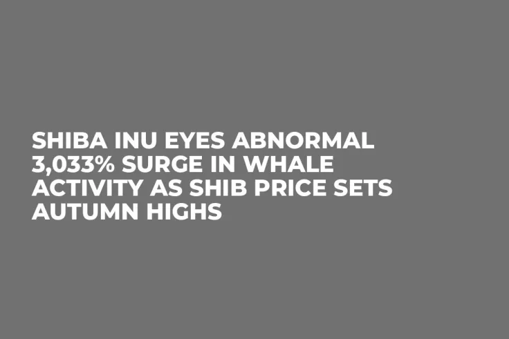 Shiba Inu Eyes Abnormal 3,033% Surge in Whale Activity as SHIB Price Sets Autumn Highs