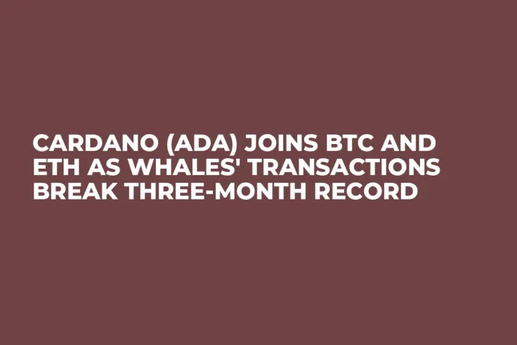 Cardano (ADA) Joins BTC and ETH as Whales' Transactions Break Three-Month Record