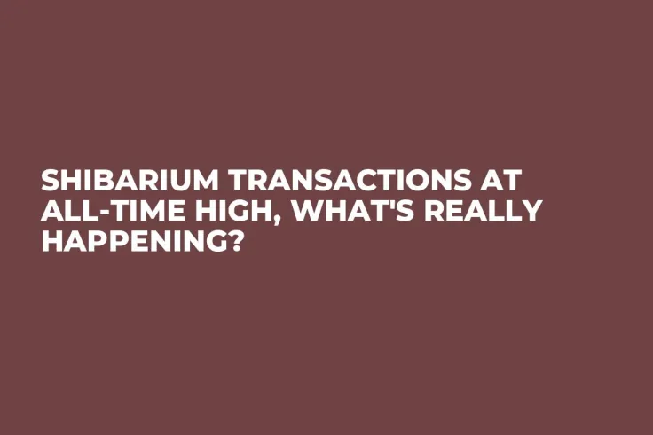 Shibarium Transactions at All-Time High, What's Really Happening?