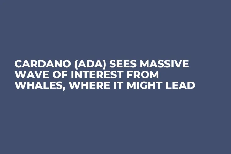Cardano (ADA) Sees Massive Wave of Interest From Whales, Where It Might Lead