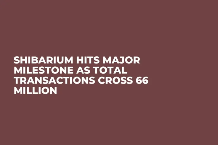 Shibarium Hits Major Milestone as Total Transactions Cross 66 Million