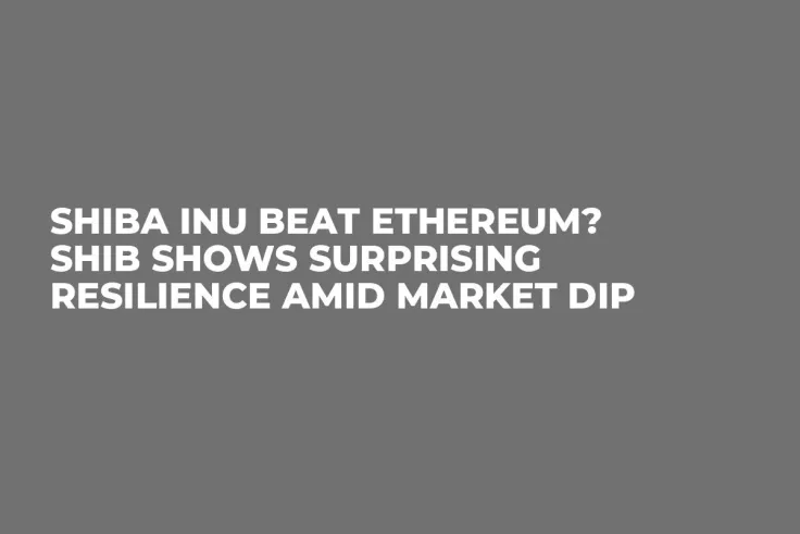 Shiba Inu Beat Ethereum? SHIB Shows Surprising Resilience Amid Market Dip