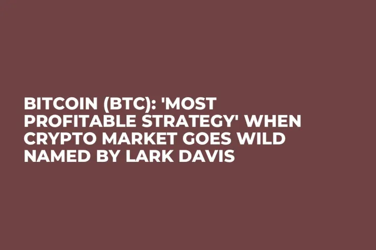 Bitcoin (BTC): 'Most Profitable Strategy' When Crypto Market Goes Wild Named by Lark Davis